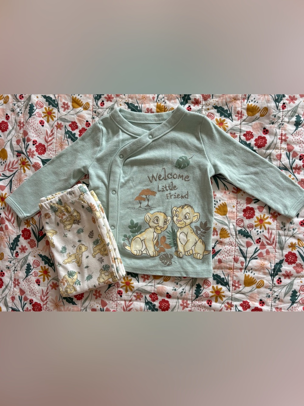 Mint Green Baby Kimono Top with Lion Cubs Print